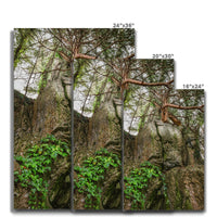 Boulder and Yew Canvas