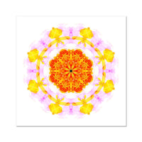Creativity Mandala Fine Art Print