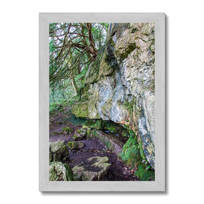Yew guardian Antique Framed Print