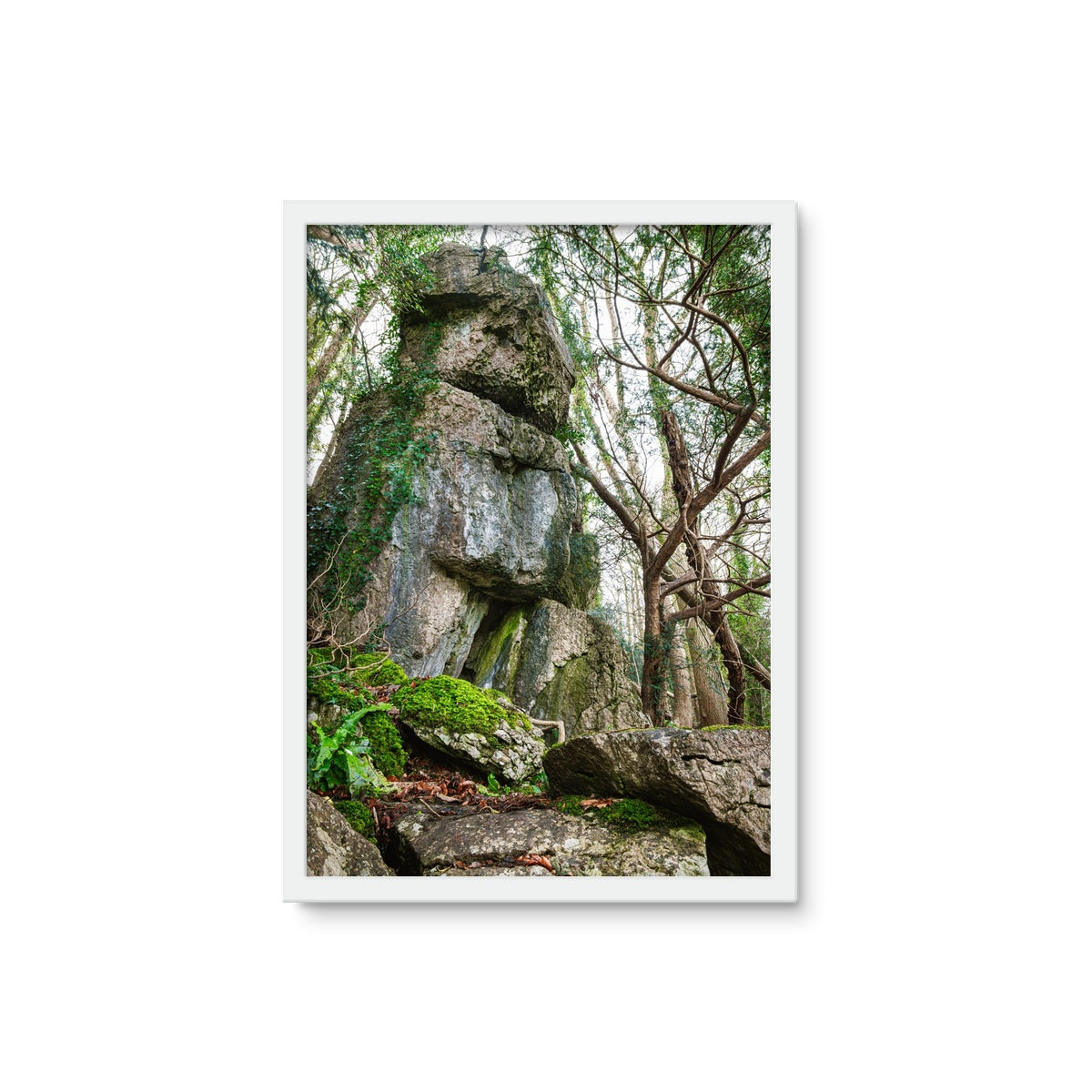 Rock Guardian Framed Photo Tile