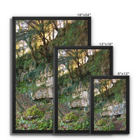 Woodwell Mystery Framed Canvas