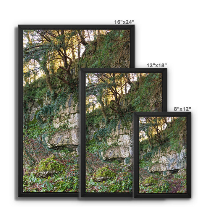 Woodwell Mystery Framed Canvas