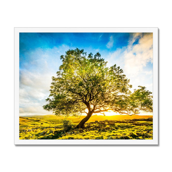 The Winskill Ash Framed Print
