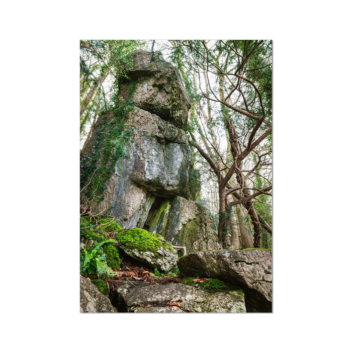 Rock Guardian Wall Art Poster