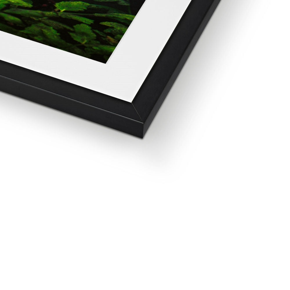 Sacred Pool Framed & Mounted Print