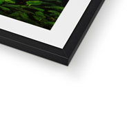 Sacred Pool Framed & Mounted Print