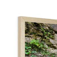 Woodwell Dawn Framed Print