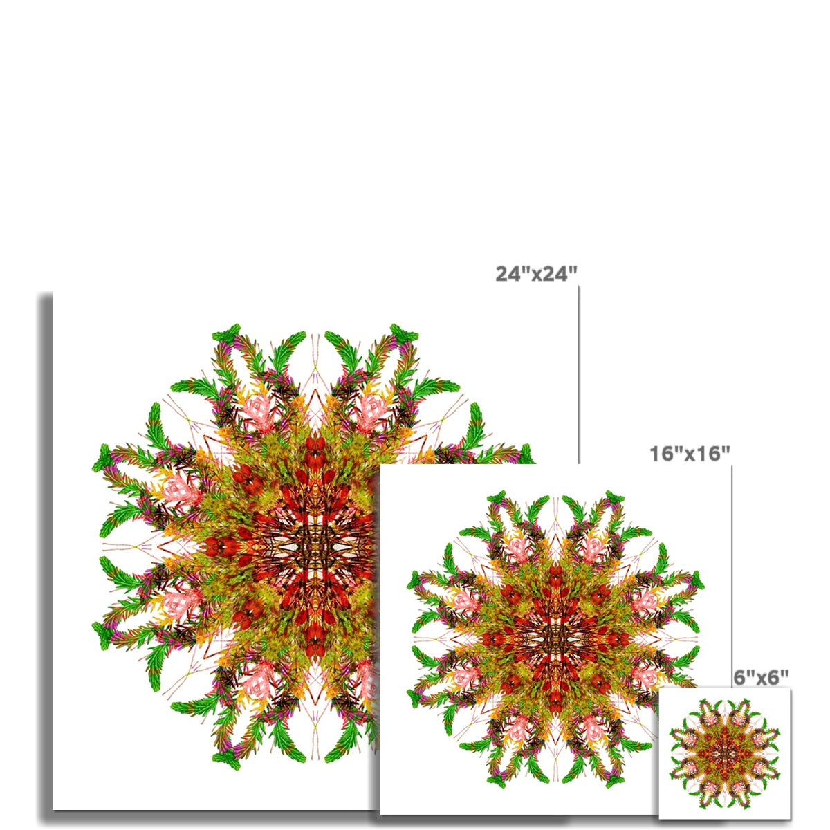 Bounty Mandala Hahnemühle Photo Rag Print