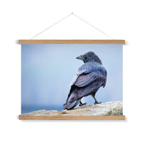 The Raven of Ireland Fine Art Print with Hanger