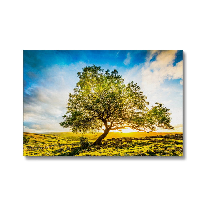 The Winskill Ash Canvas