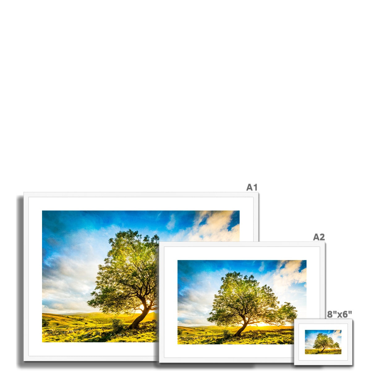 The Winskill Ash Framed & Mounted Print