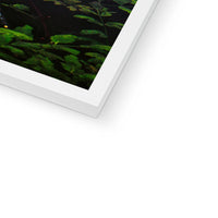 Sacred Pool Framed Print