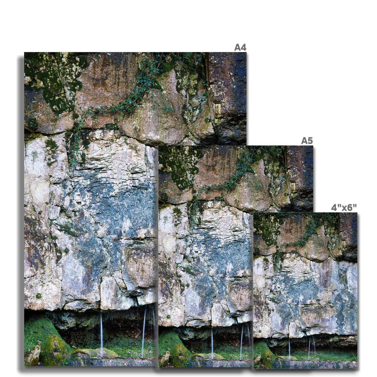 Limestone and Ivy Wall Art Poster