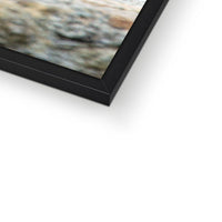 The Raven of Ireland Framed Print