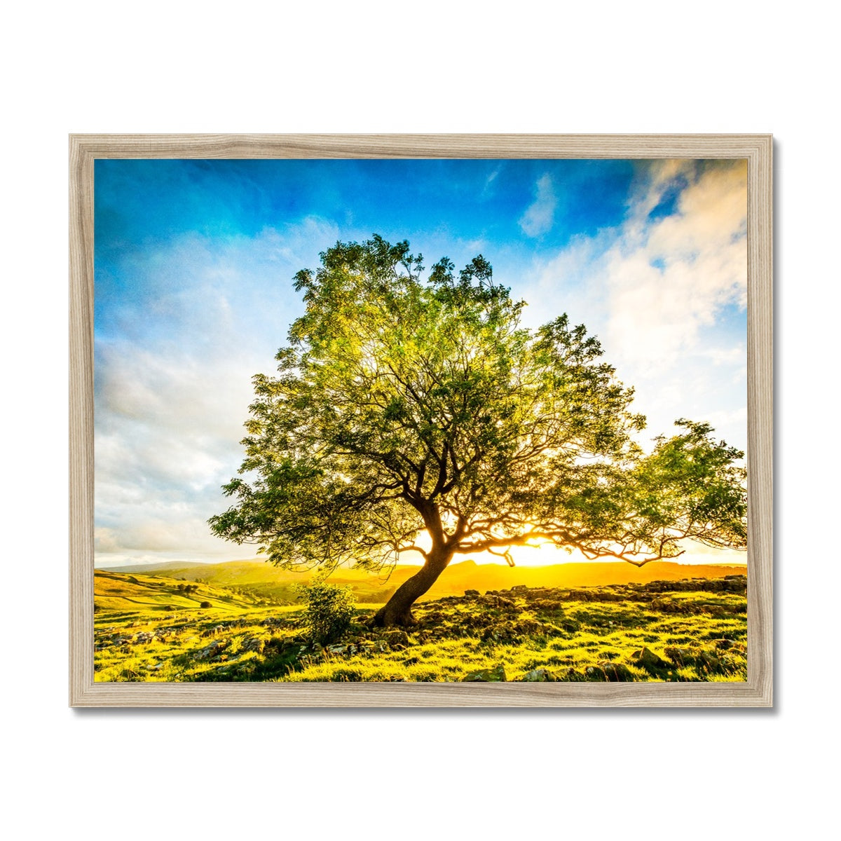 The Winskill Ash Framed Print
