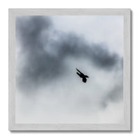 Storm Raven 3 Antique Framed Print