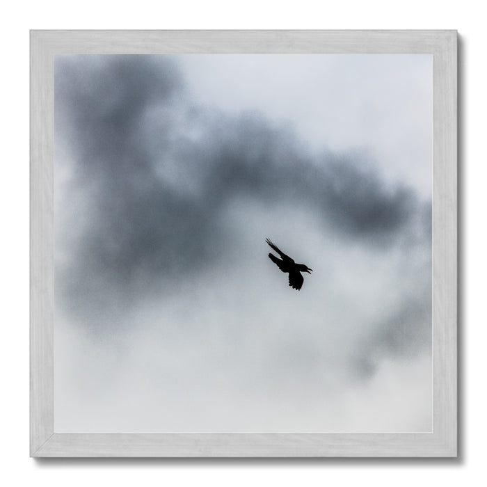 Storm Raven 3 Antique Framed Print