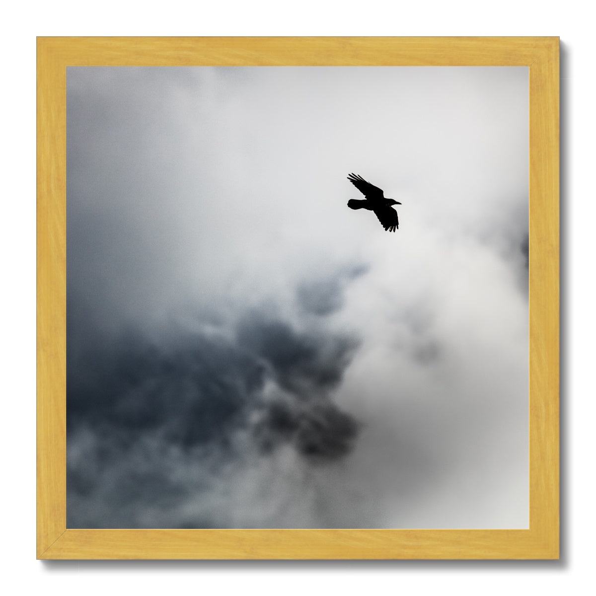 Storm Raven 2 Antique Framed Print