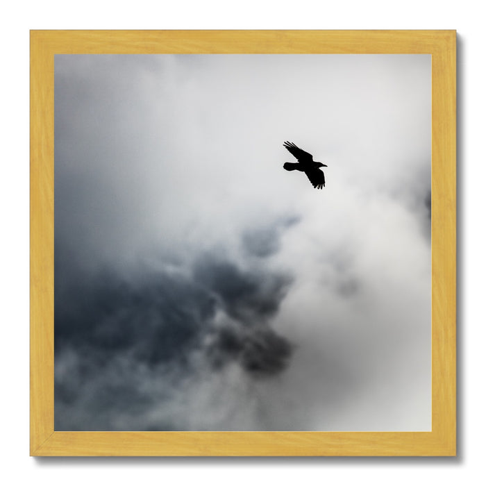 Storm Raven 2 Antique Framed Print