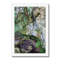 Yew guardian Framed Print
