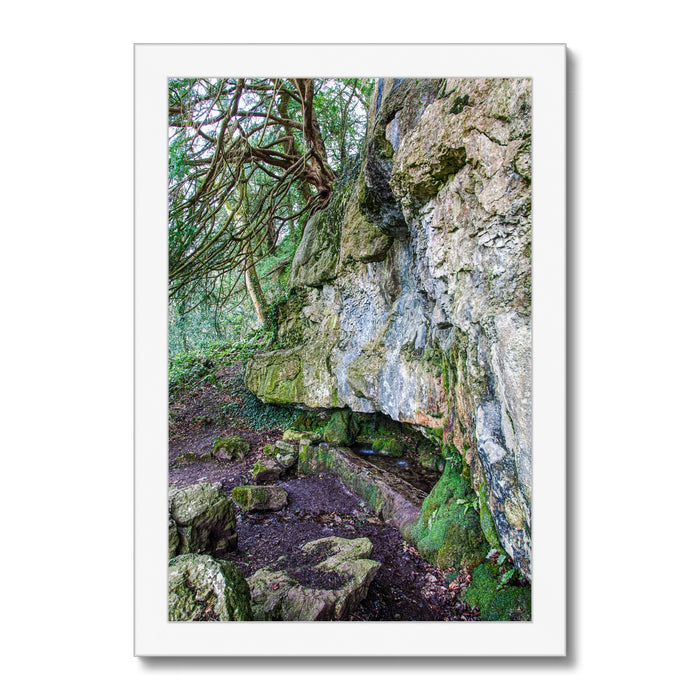 Yew guardian Framed Print