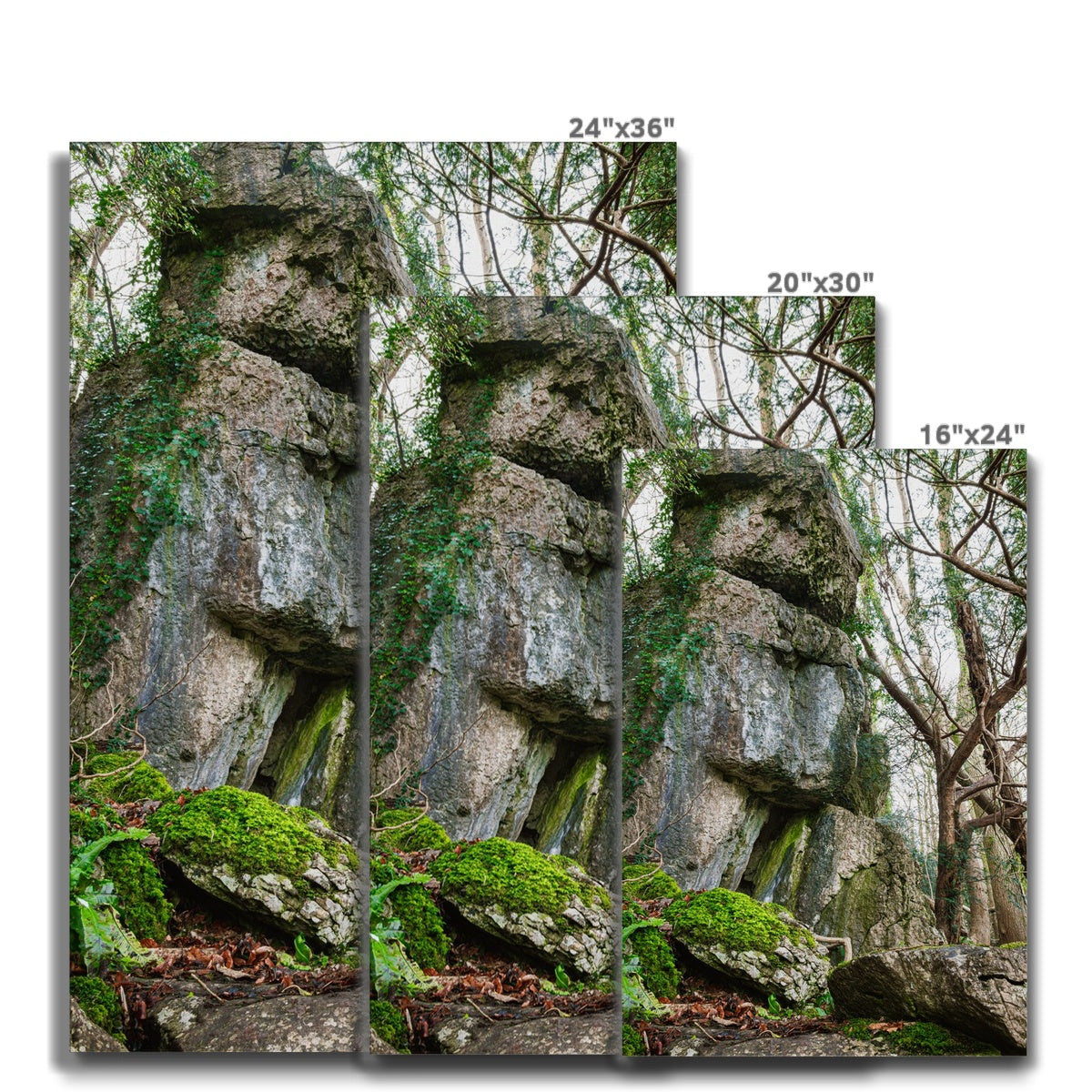 Rock Guardian Canvas