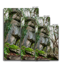 Rock Guardian Canvas
