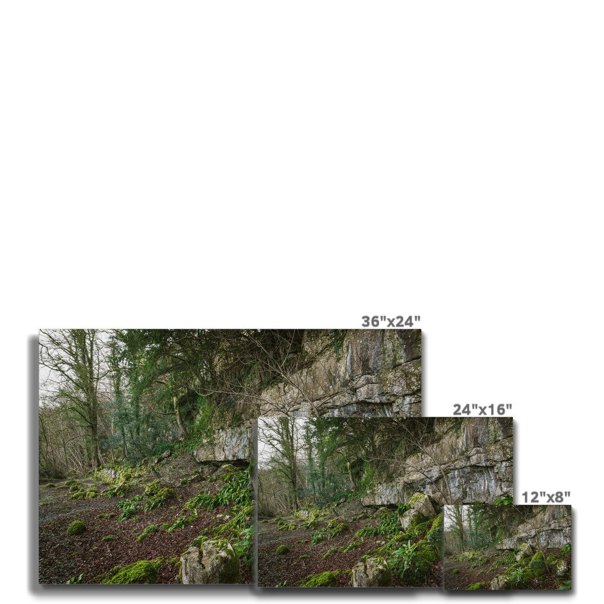 Woodwell Secrets Canvas