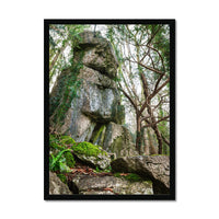 Rock Guardian Framed Print