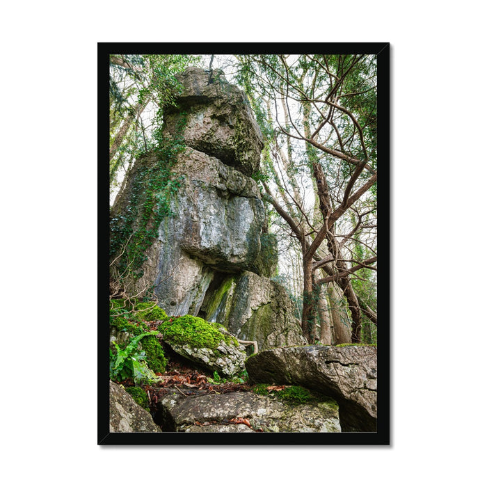 Rock Guardian Framed Print
