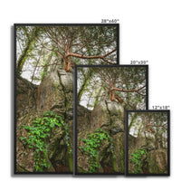 Boulder and Yew Framed Canvas