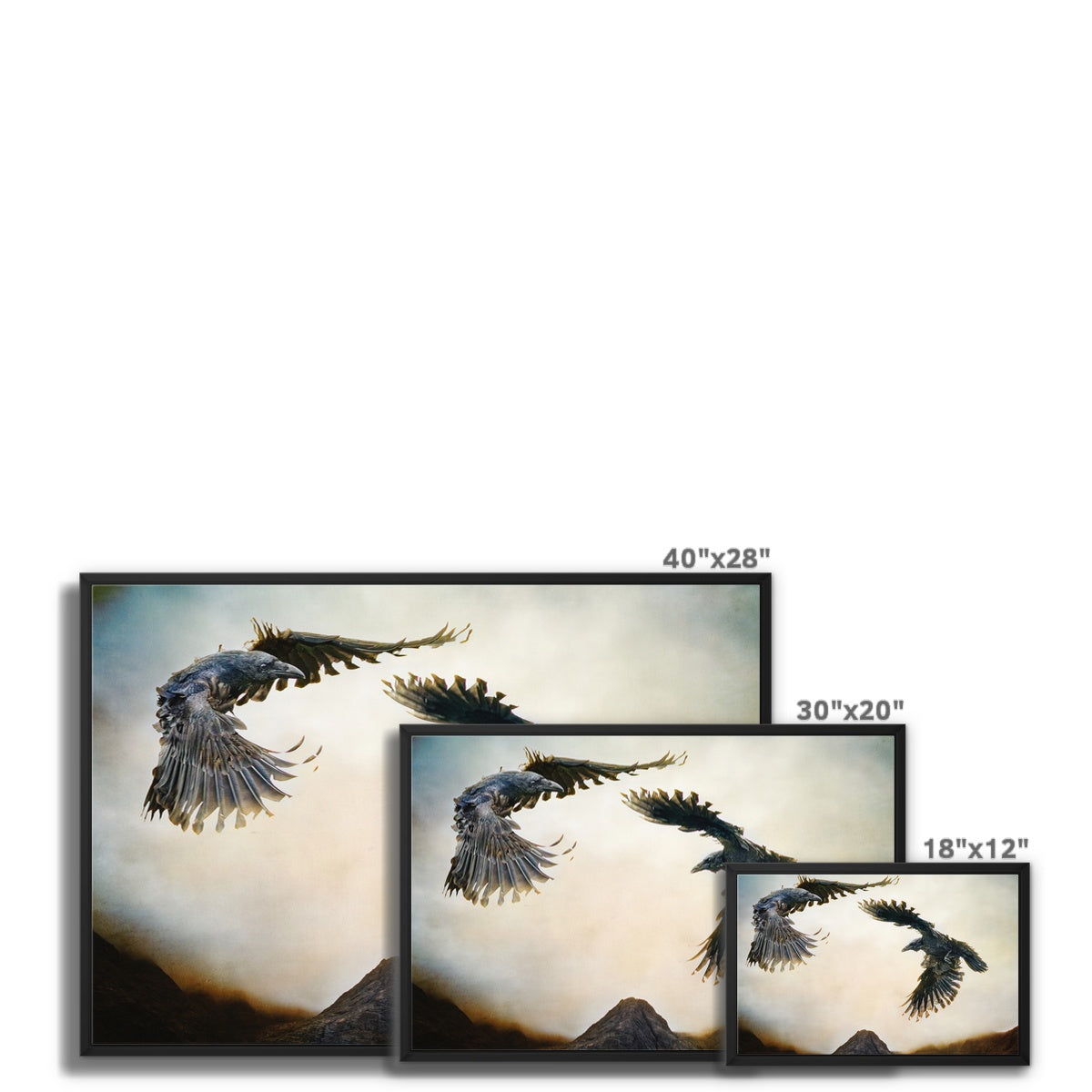 Odin's Ravens Framed Canvas