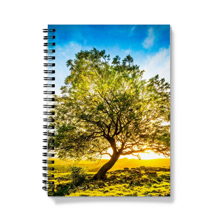 The Winskill Ash Notebook