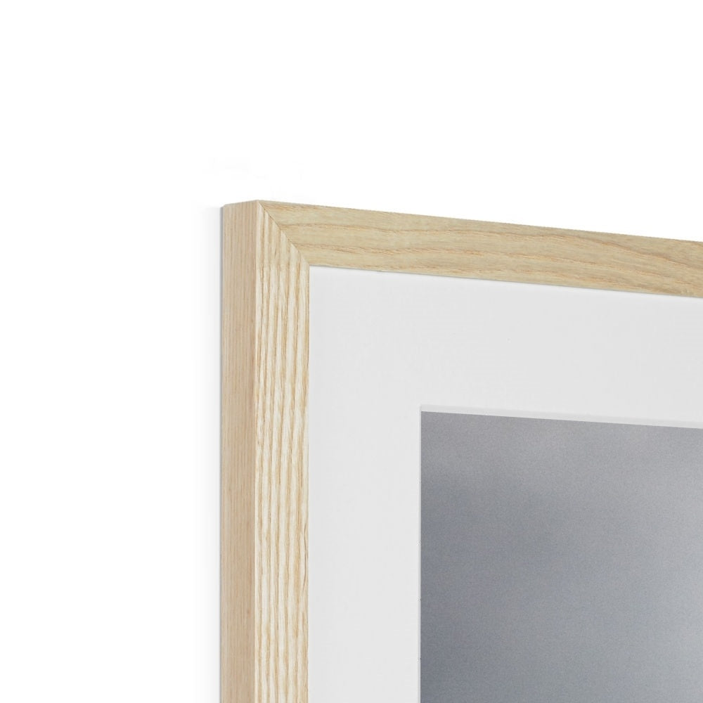 Storm Raven 2 Framed & Mounted Print