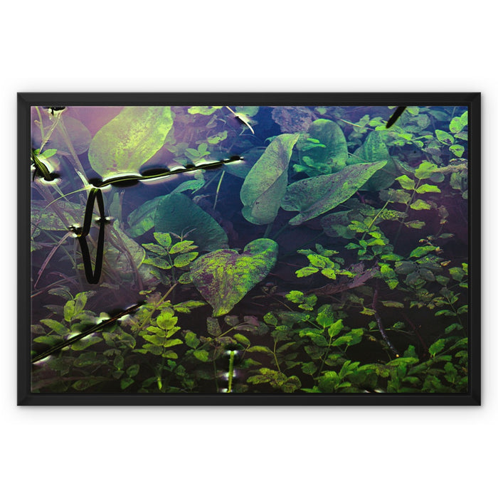 Sacred Pool Framed Canvas