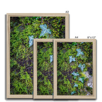 Ivy Clad Framed Print
