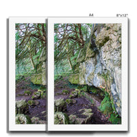 Yew guardian Framed Print