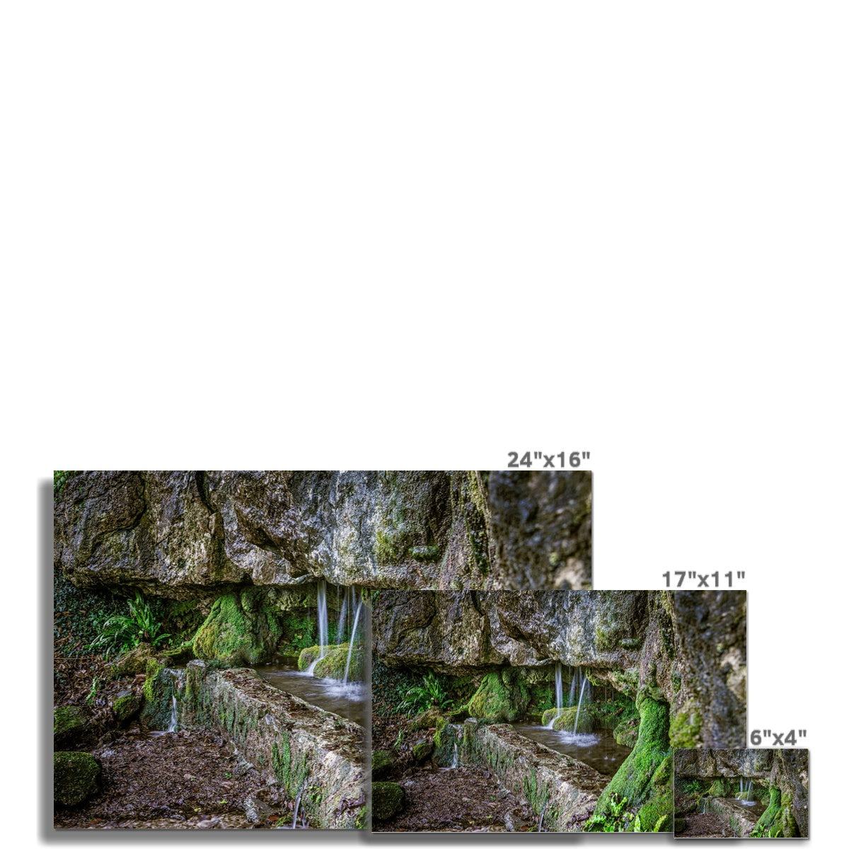 Woodwell basin Wall Art Poster