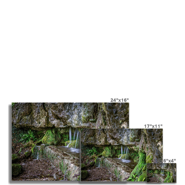 Woodwell basin Wall Art Poster