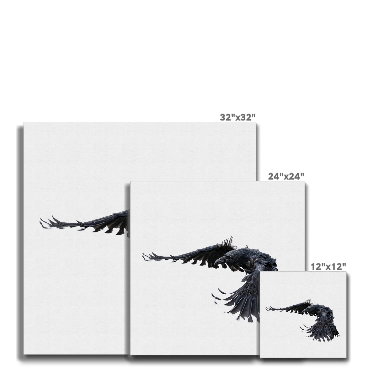 Raven 2 Canvas