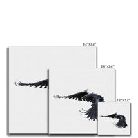 Raven 2 Canvas