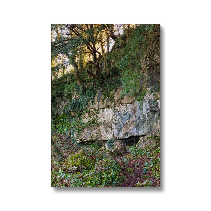 Woodwell Mystery Canvas