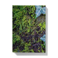 Ivy Clad Hardback Journal
