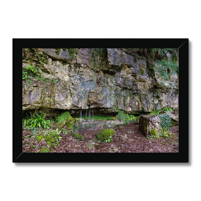 Woodwell Dawn Framed Print
