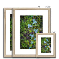 Ivy Clad Framed & Mounted Print