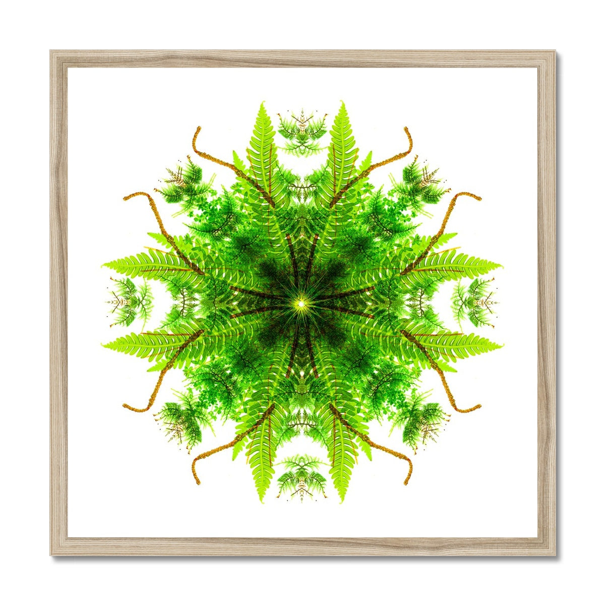 Heart of Nature Budget Framed Poster
