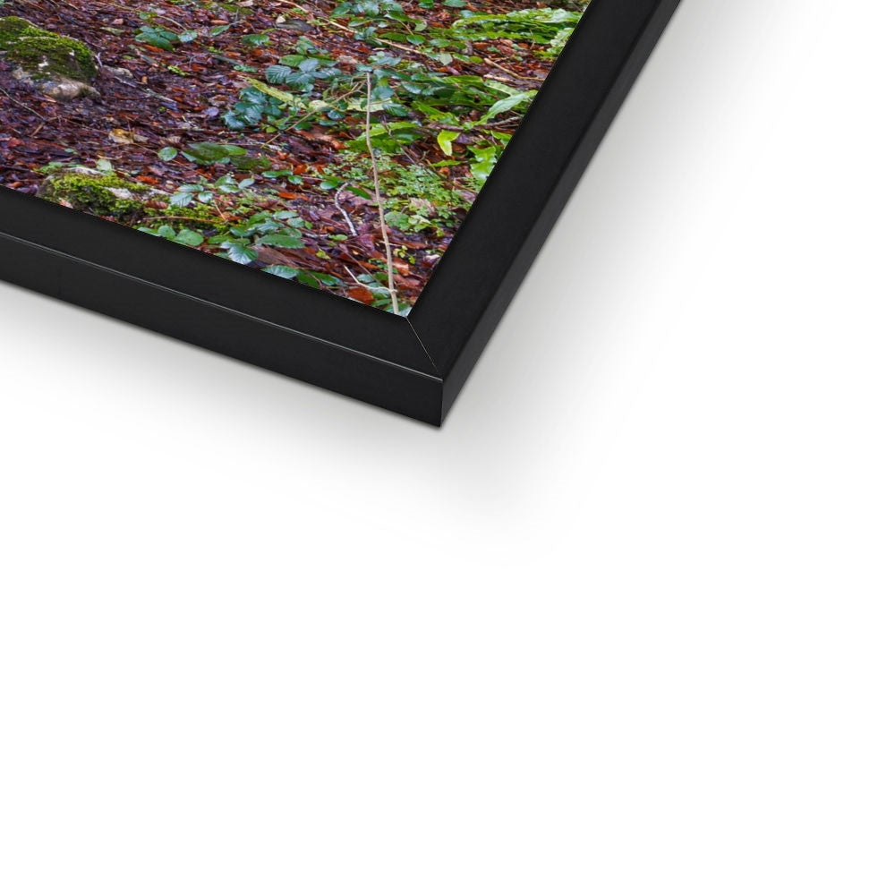 Woodwell Mystery Framed Print