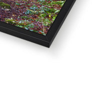Woodwell Mystery Framed Print