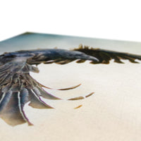 Odin's Ravens Canvas