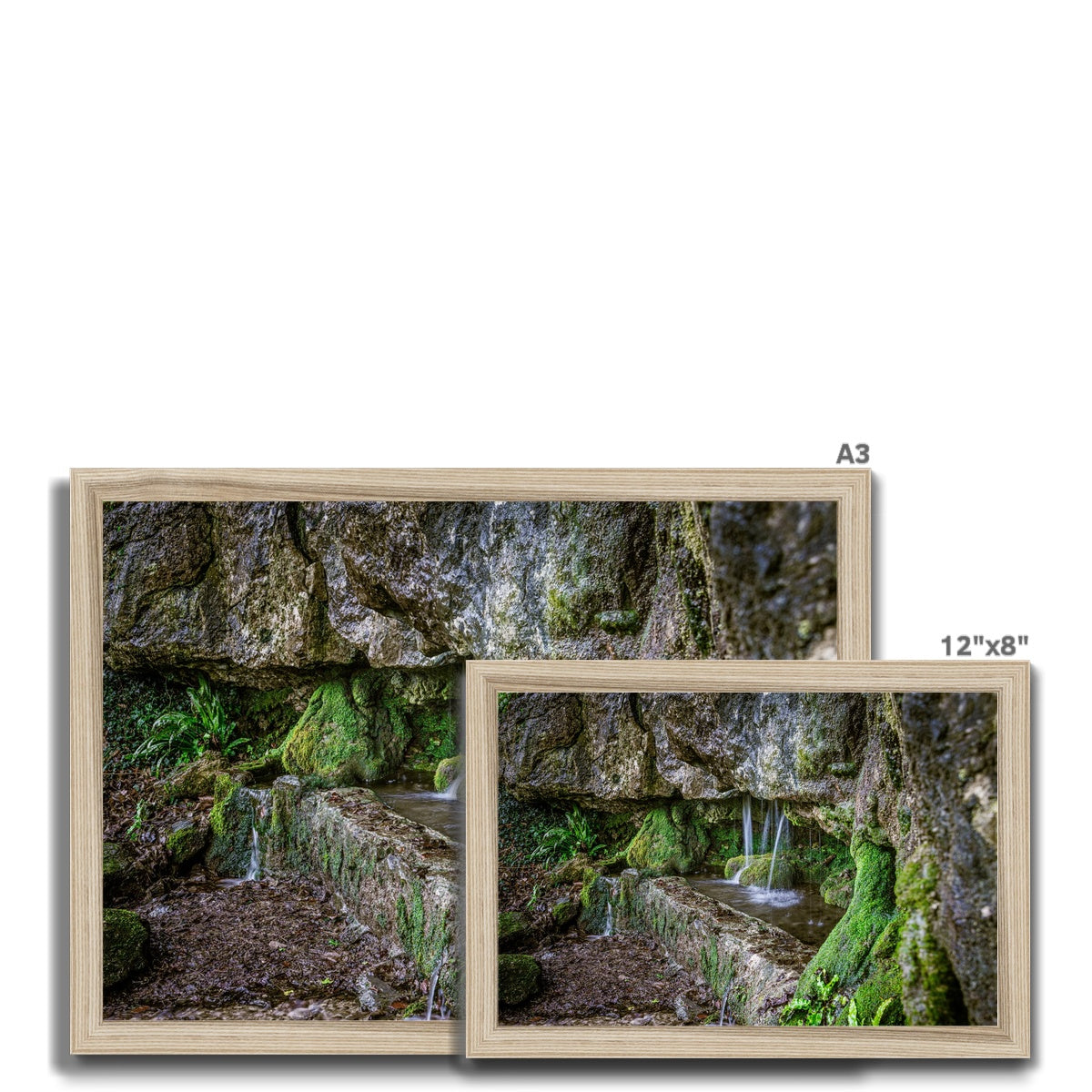 Woodwell basin Framed Print